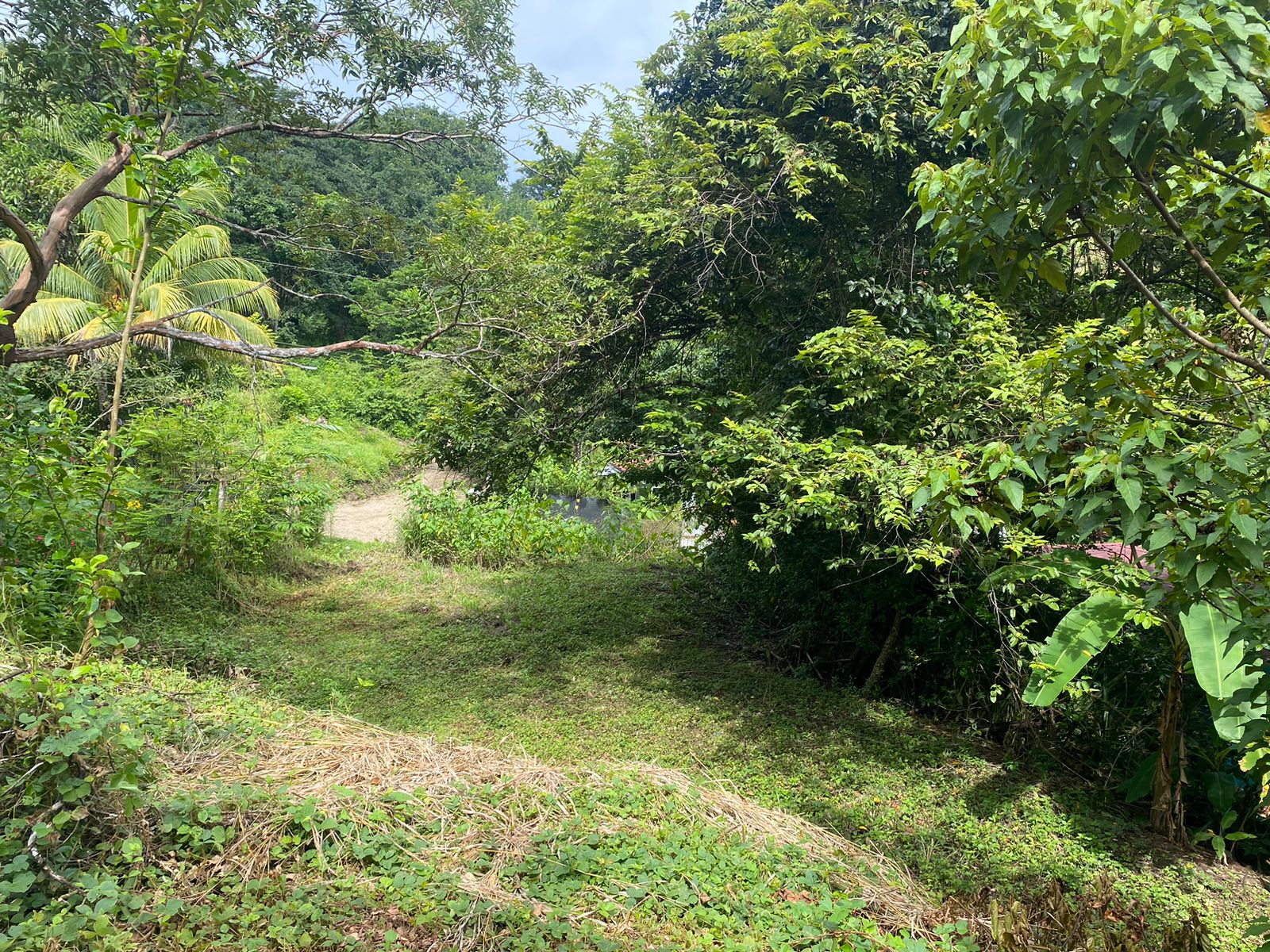 0 bed Land For Sale in Manzanillo, Puntarenas - thumb 6