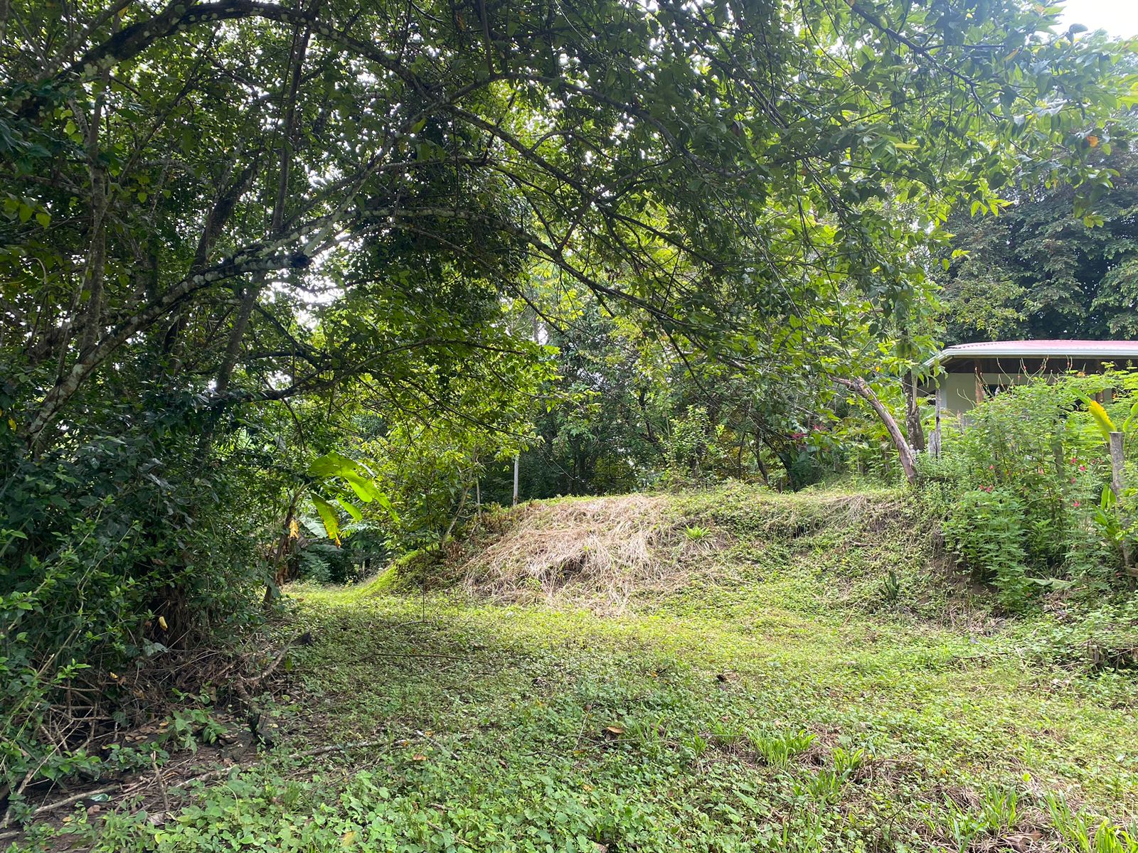 0 bed Land For Sale in Manzanillo, Puntarenas - thumb 9