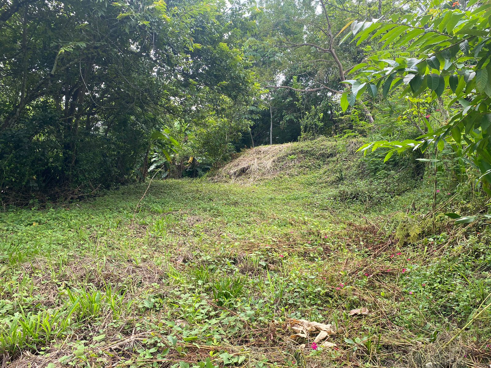0 bed Land For Sale in Manzanillo, Puntarenas - thumb 3