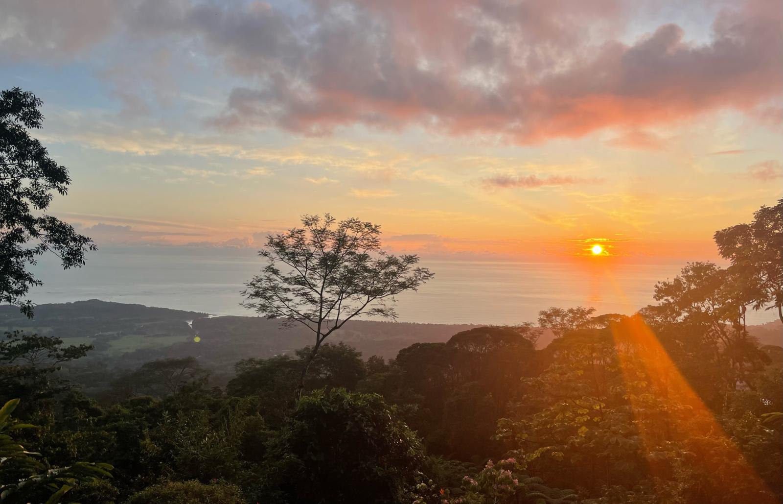 2 bed Single Family Homes For Sale in Uvita, Puntarenas - thumb 29