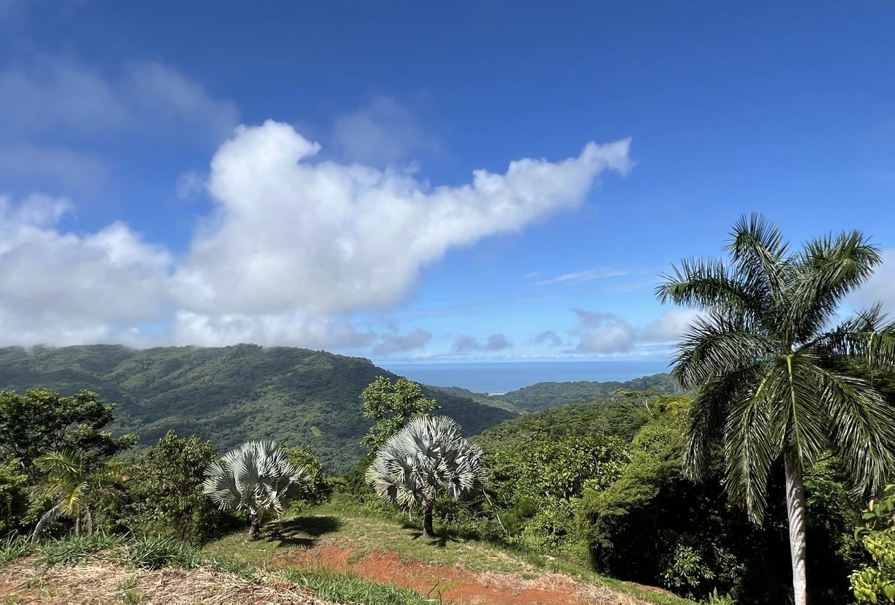 2 bed Single Family Homes For Sale in Dominical, Puntarenas - thumb 25