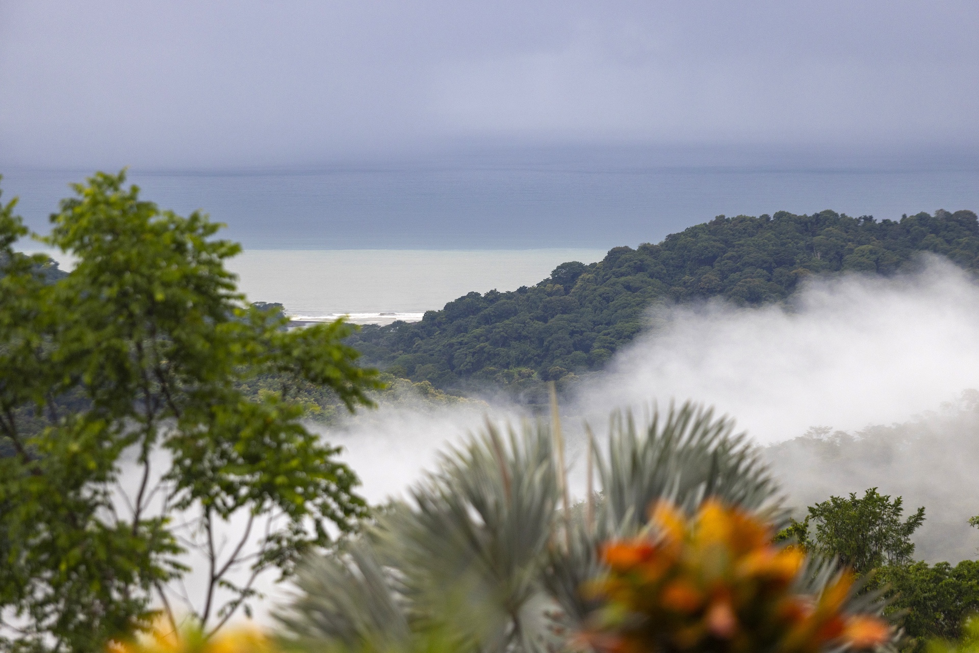 2 bed Single Family Homes For Sale in Dominical, Puntarenas - thumb 4