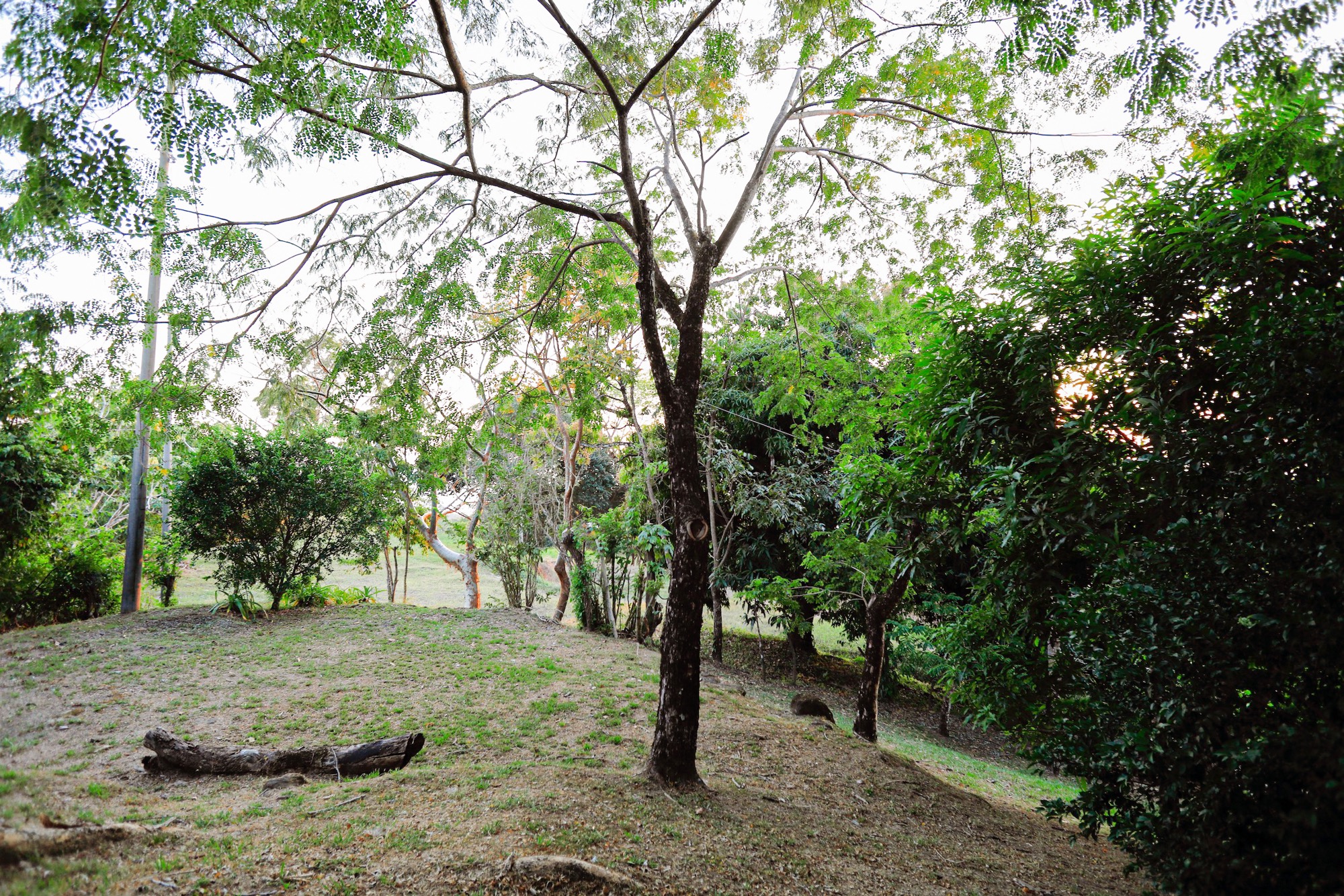 4 bed Single Family Homes For Sale in Malpais, Puntarenas - thumb 26