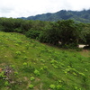  - The Great Real Estate Opportunity - Land Next to the Airport