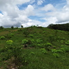  - The Great Real Estate Opportunity - Land Next to the Airport