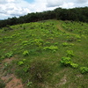  - The Great Real Estate Opportunity - Land Next to the Airport