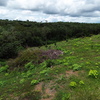  - The Great Real Estate Opportunity - Land Next to the Airport
