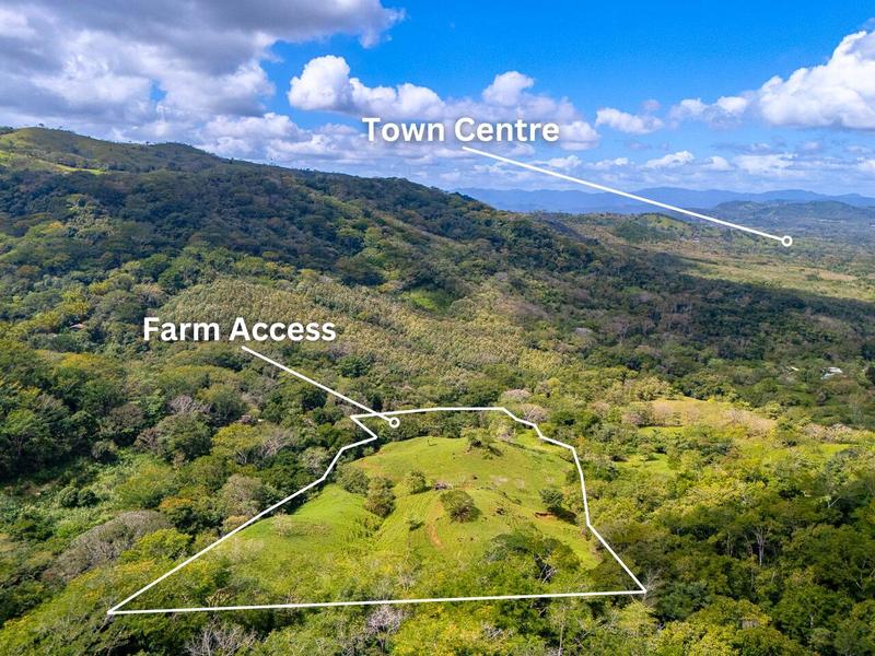 0 bed Land For Sale in Hojancha, Guanacaste - 1