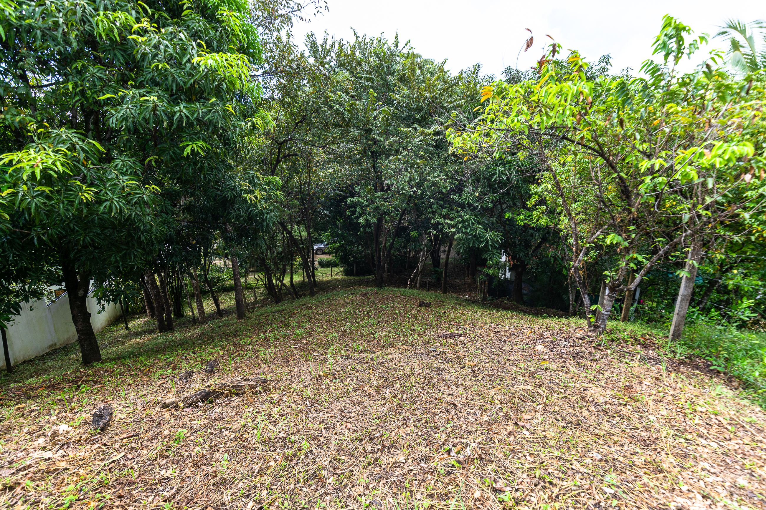0 bed Land For Sale in Nosara, Guanacaste - thumb 8