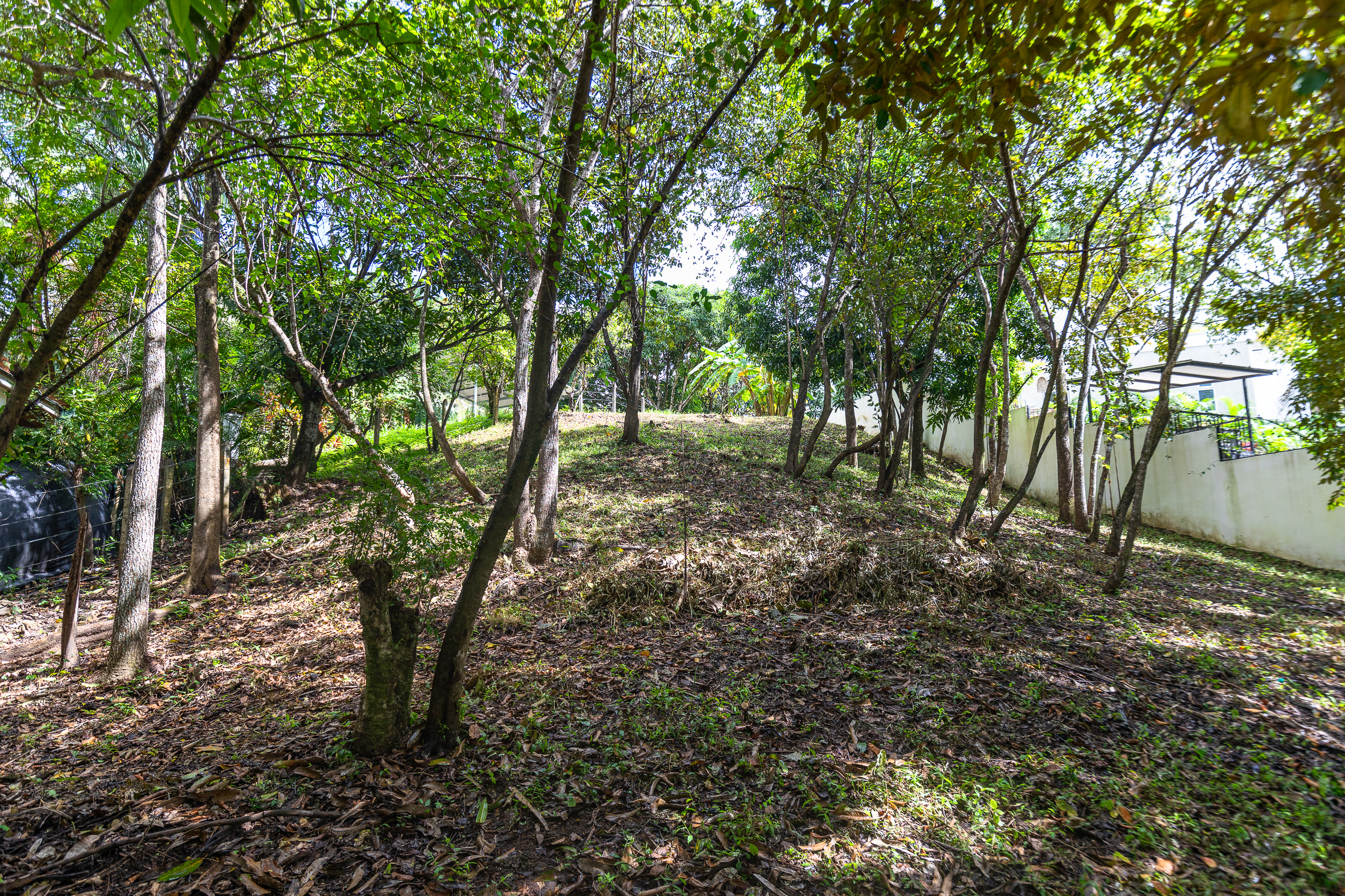 0 bed Land For Sale in Nosara, Guanacaste - thumb 4