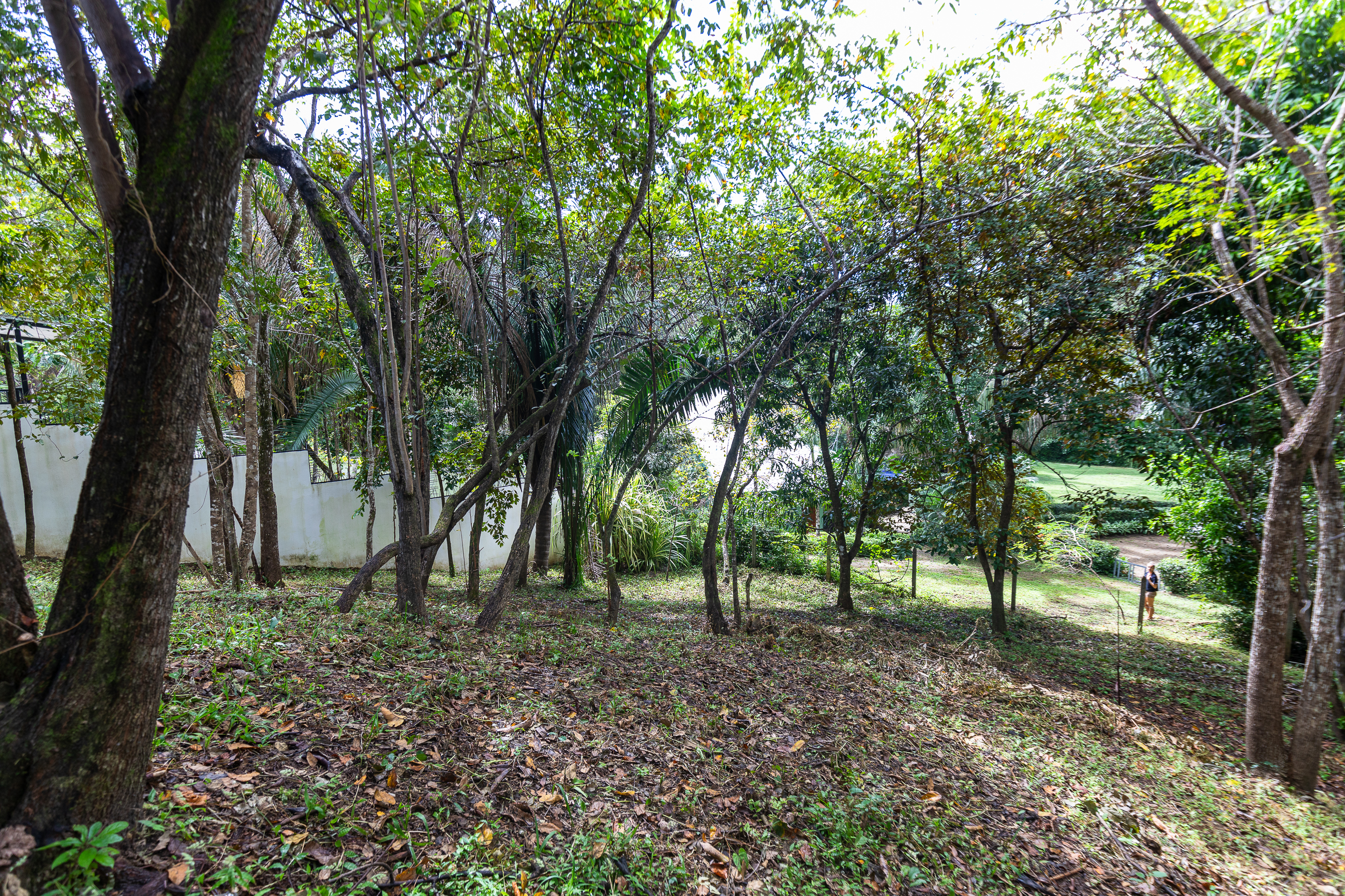 0 bed Land For Sale in Nosara, Guanacaste - thumb 6