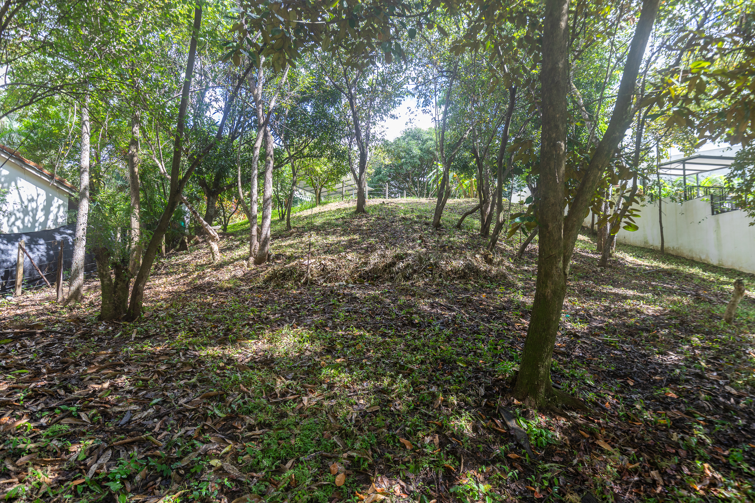 0 bed Land For Sale in Nosara, Guanacaste - thumb 3