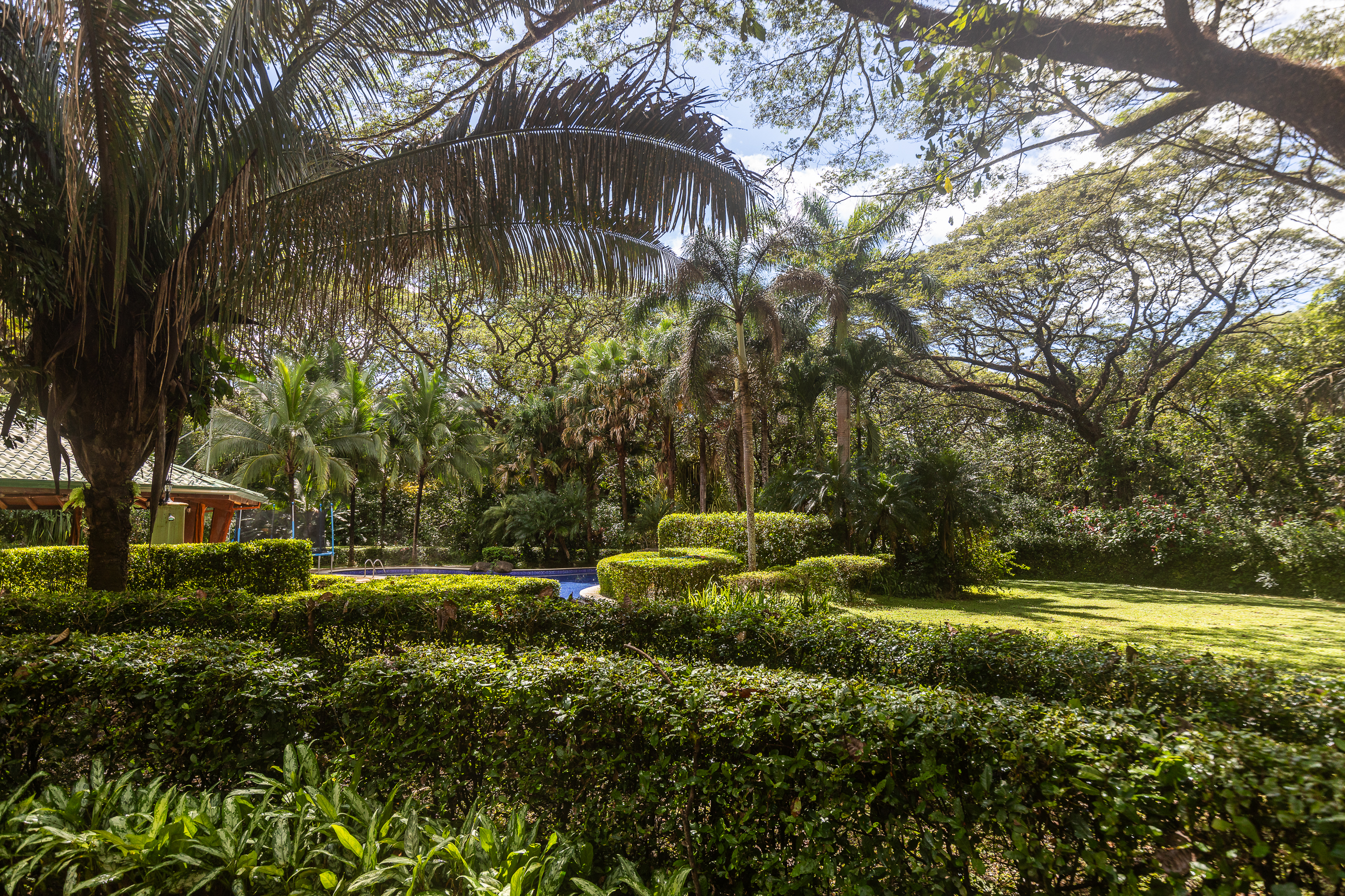 0 bed Land For Sale in Nosara, Guanacaste - thumb 2