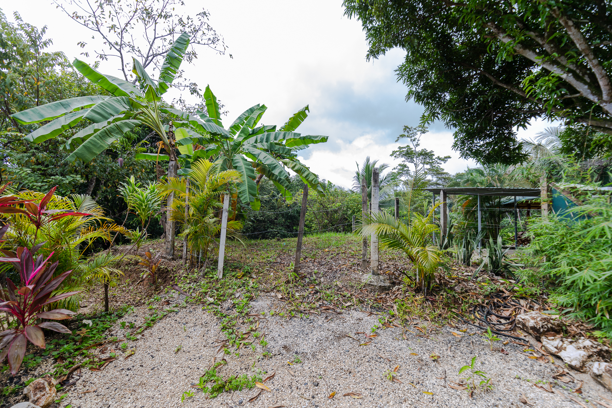 0 bed Land For Sale in Nosara, Guanacaste - thumb 9