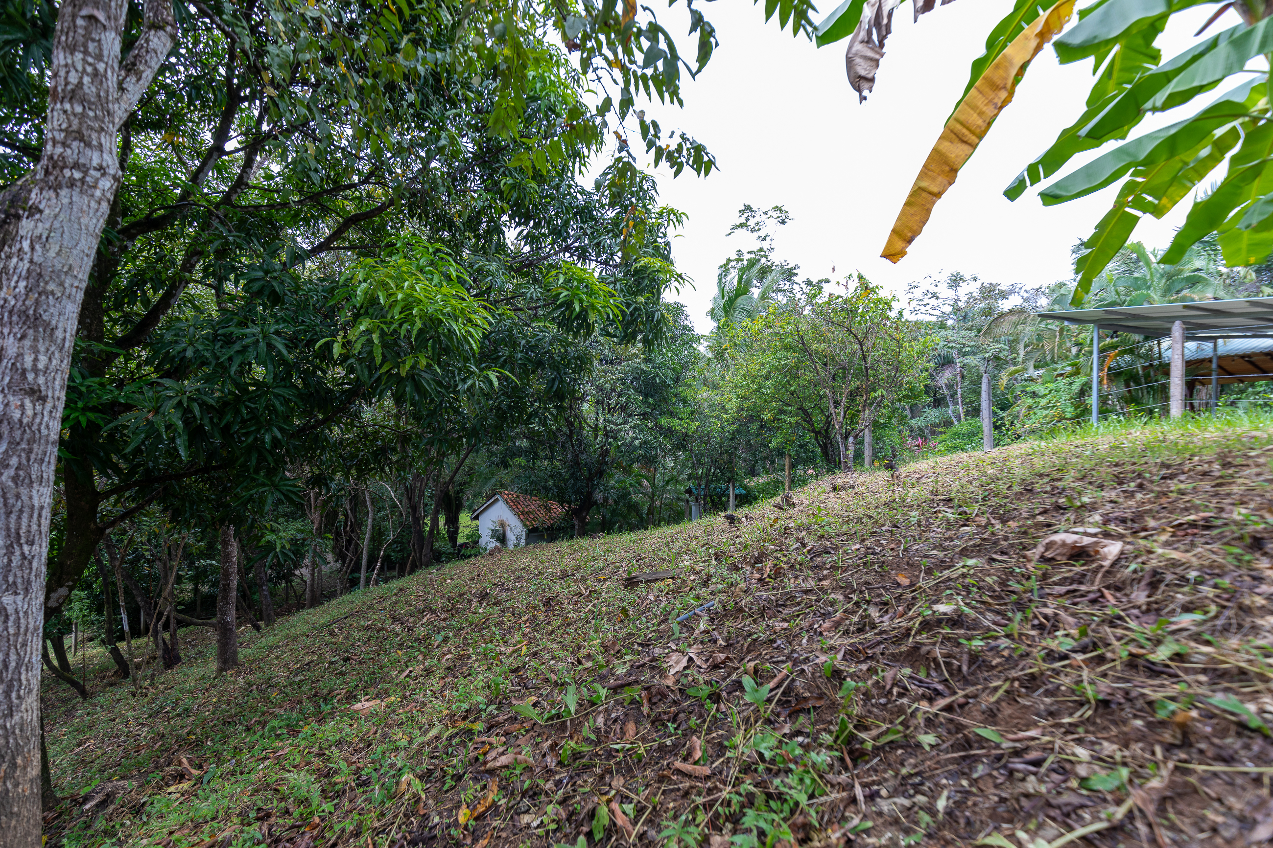 0 bed Land For Sale in Nosara, Guanacaste - thumb 10