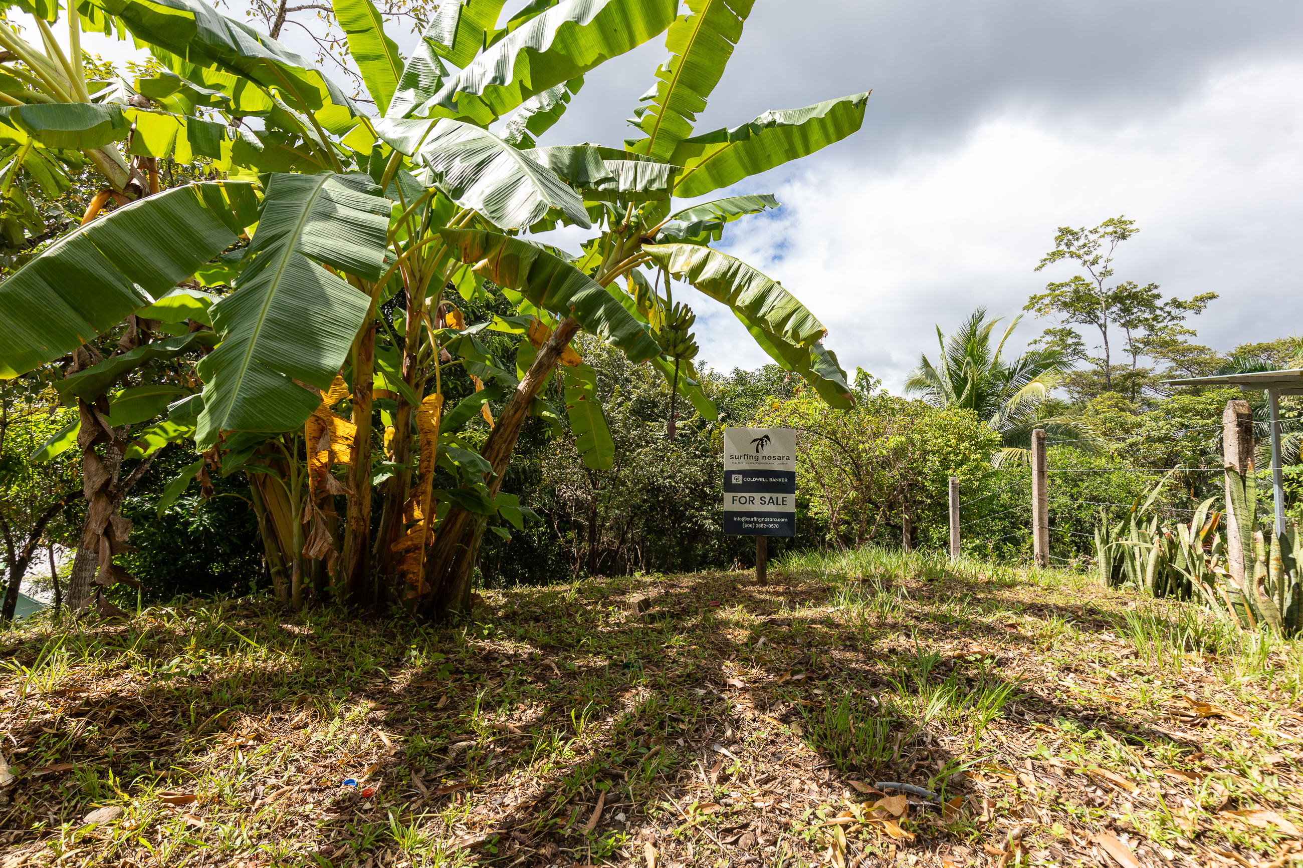 0 bed Land For Sale in Nosara, Guanacaste - thumb 1
