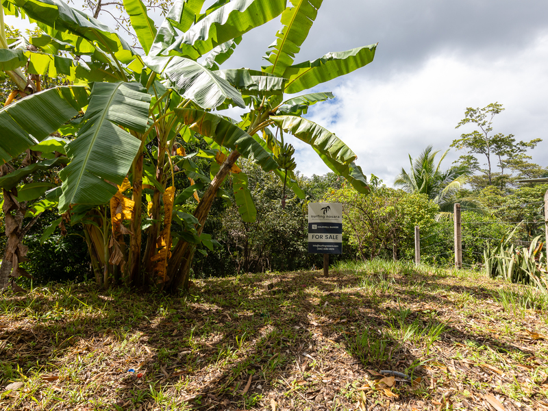 0 bed Land For Sale in Nosara, Guanacaste - 1