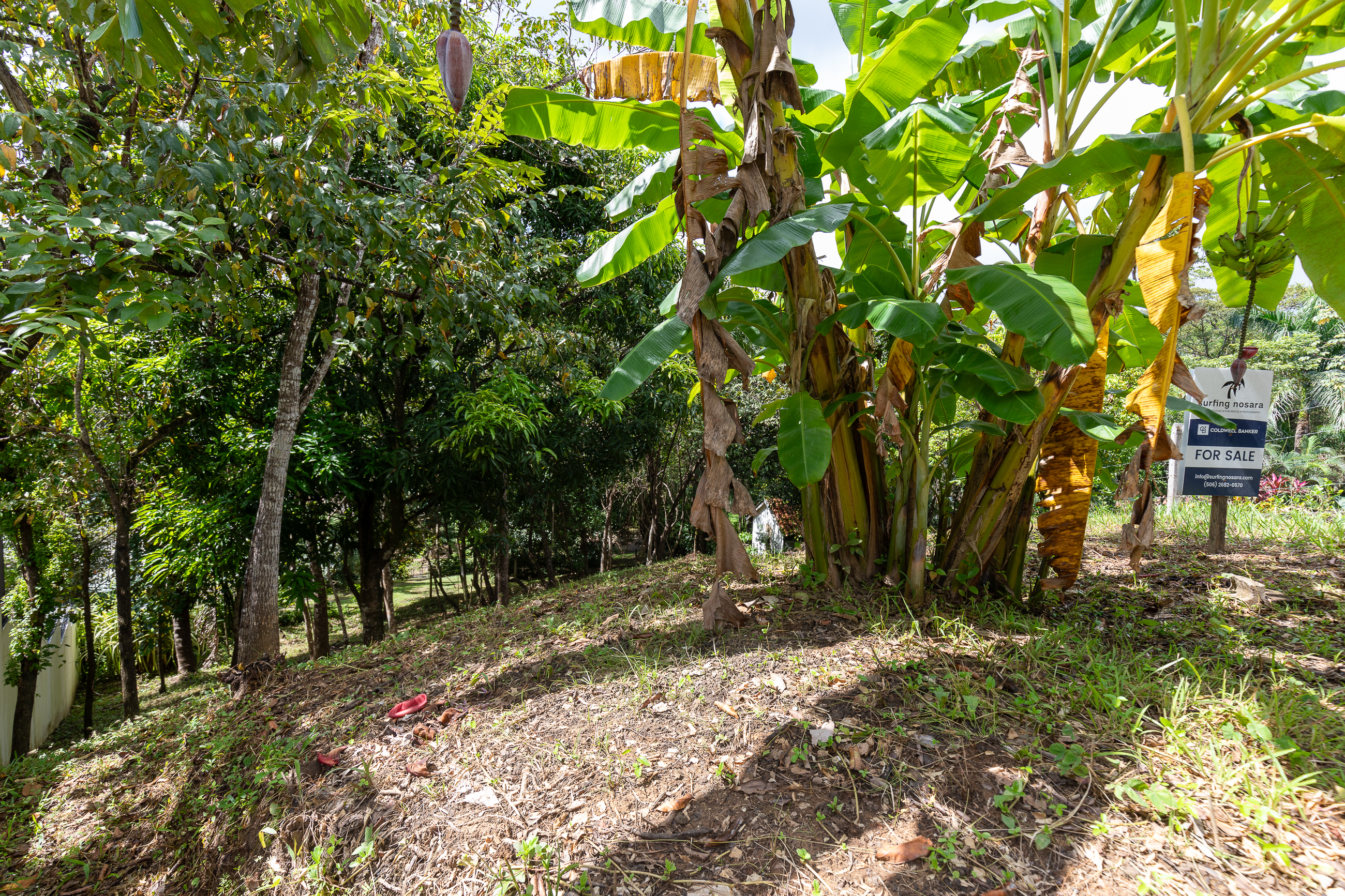 0 bed Land For Sale in Nosara, Guanacaste - thumb 11