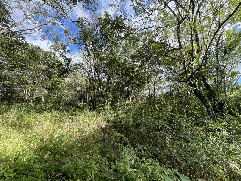 0 bed Land For Sale in Tamarindo, Guanacaste - 1