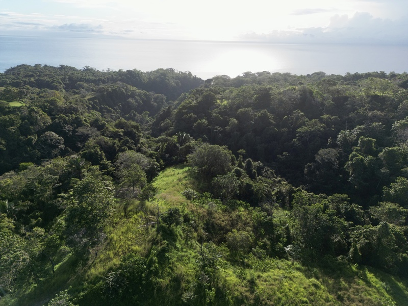 0 bed Land For Sale in Delicias, Puntarenas - 1
