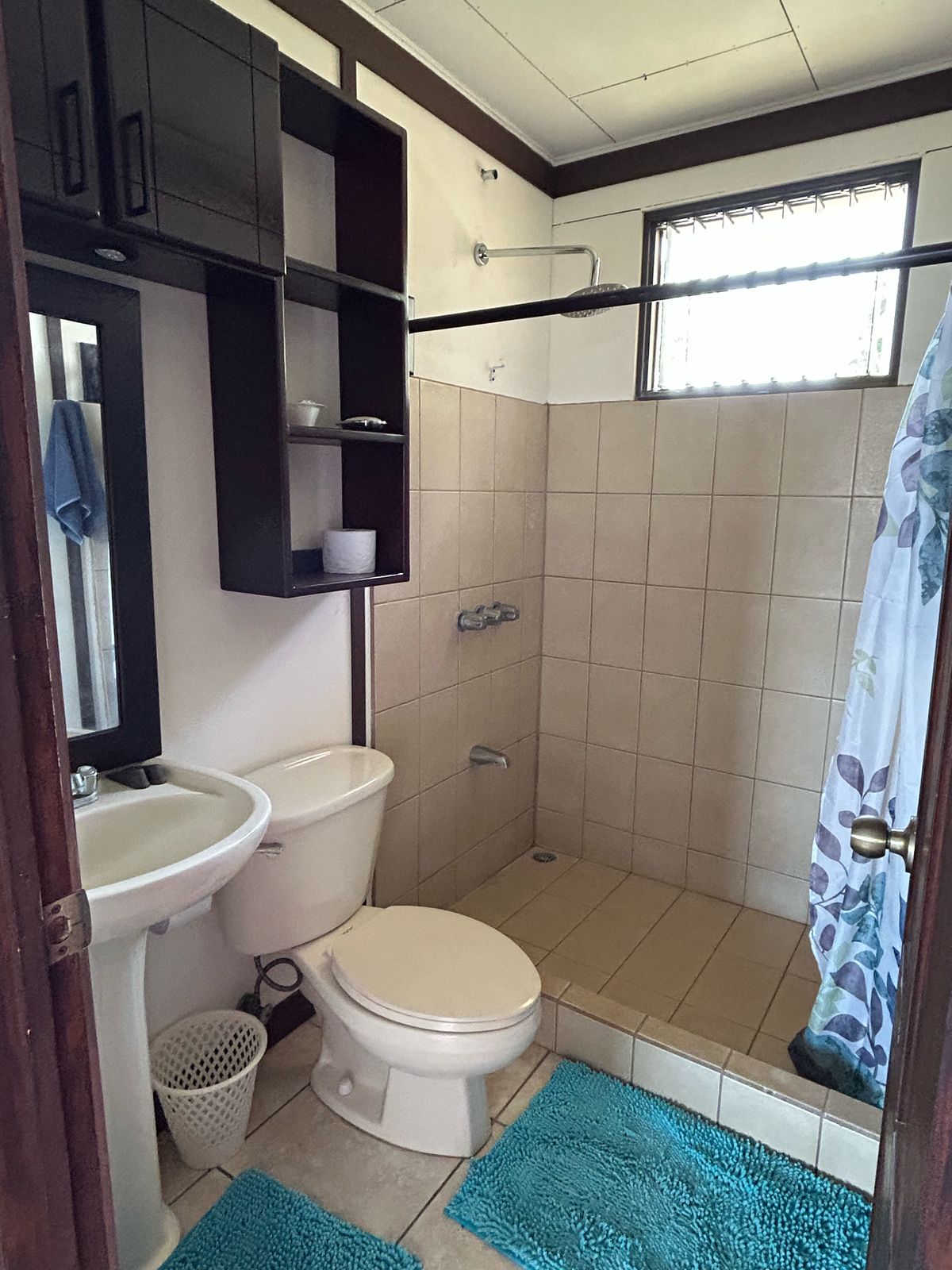2 bed Single Family Homes For Rent in Atenas, Alajuela - thumb 7