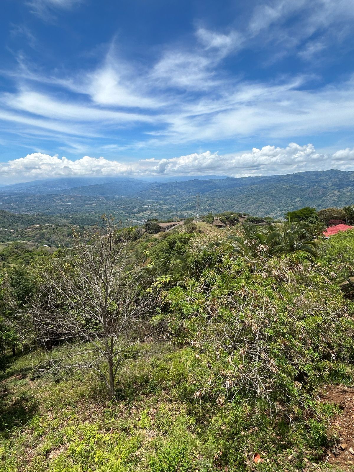 2 bed Single Family Homes For Rent in Atenas, Alajuela - thumb 19