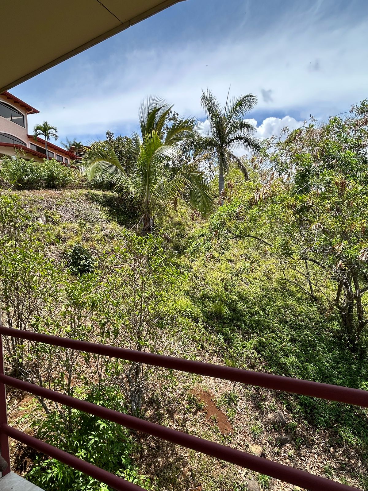 2 bed Single Family Homes For Rent in Atenas, Alajuela - thumb 12