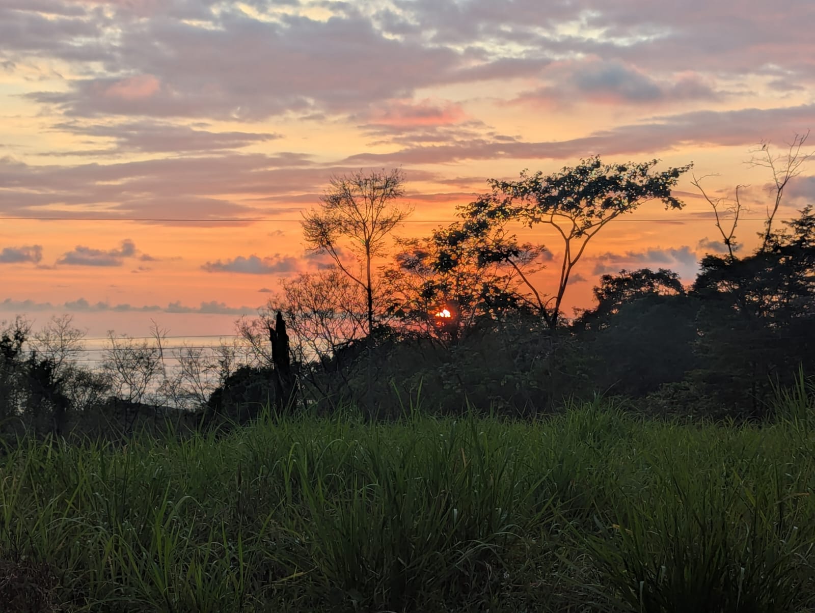 0 bed Land For Sale in Ojochal, Puntarenas - thumb 2