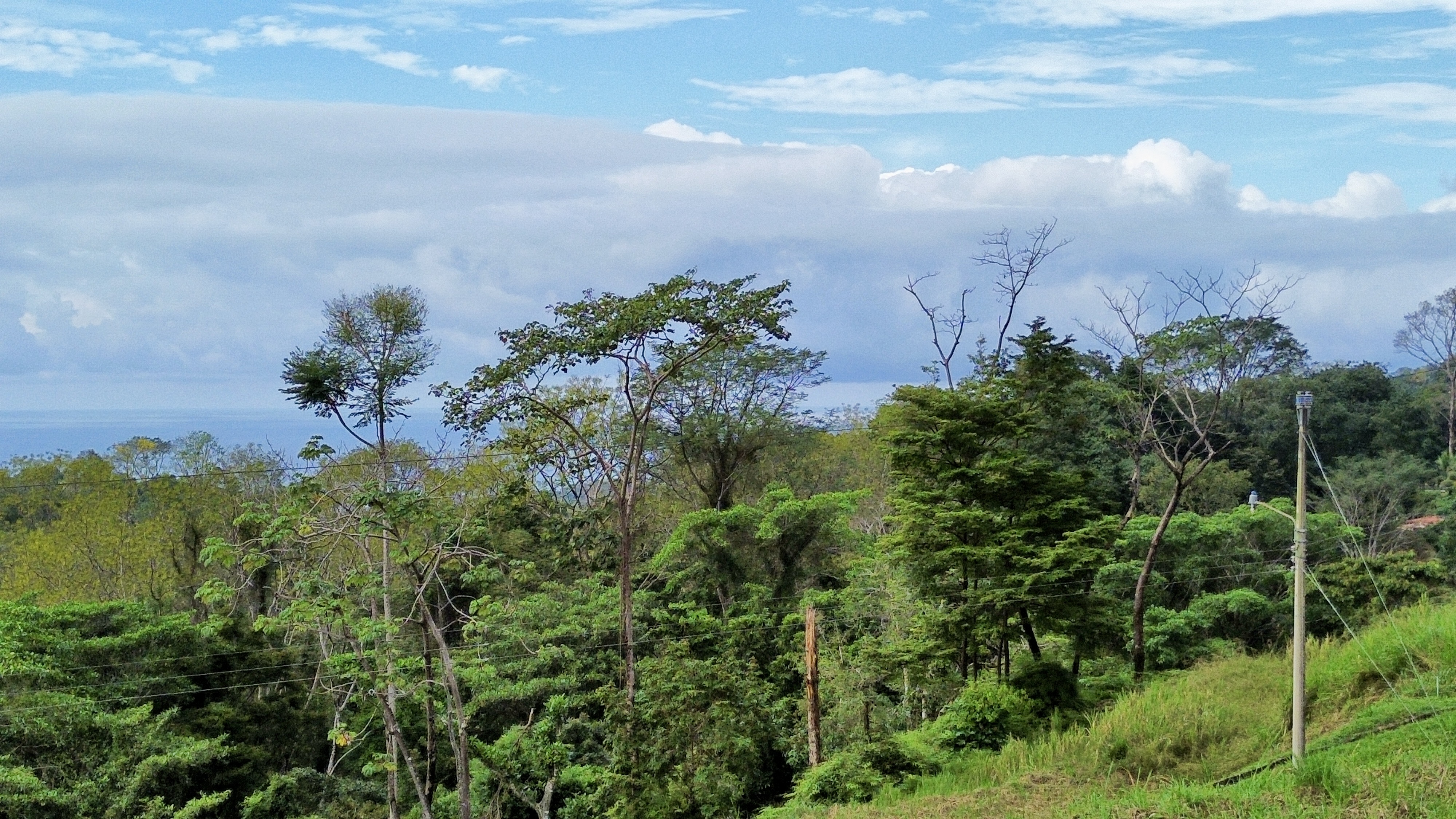 0 bed Land For Sale in Ojochal, Puntarenas - thumb 15