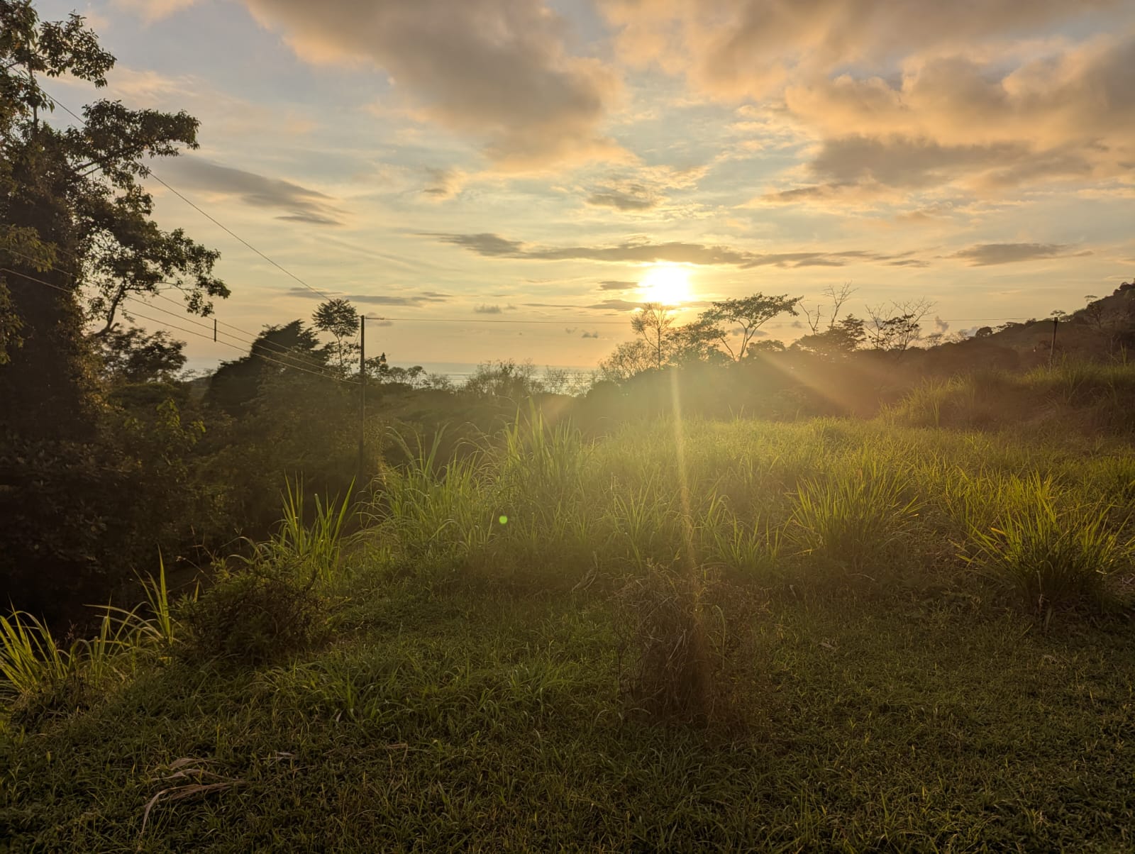 0 bed Land For Sale in Ojochal, Puntarenas - thumb 8