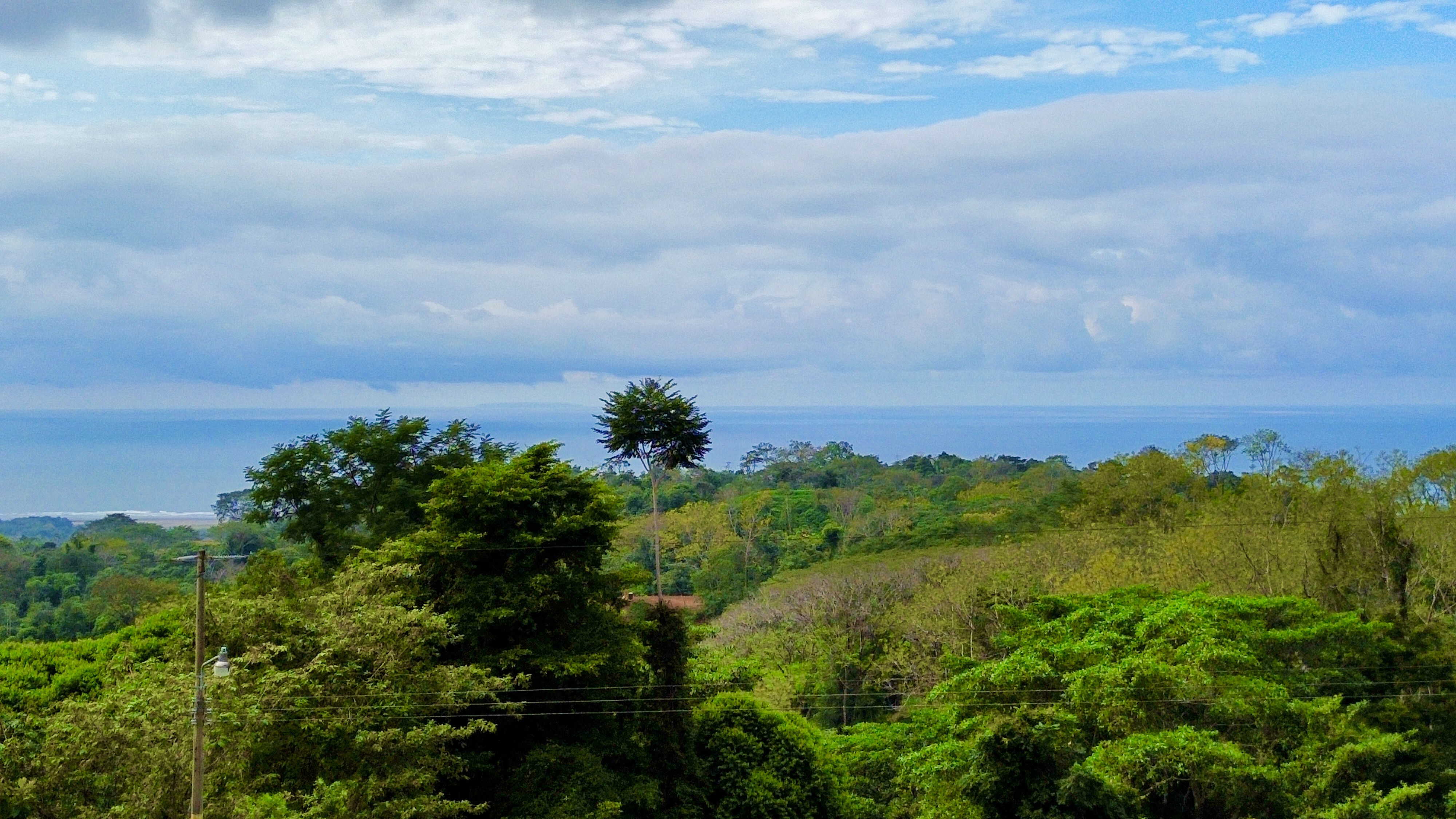 0 bed Land For Sale in Ojochal, Puntarenas - thumb 10