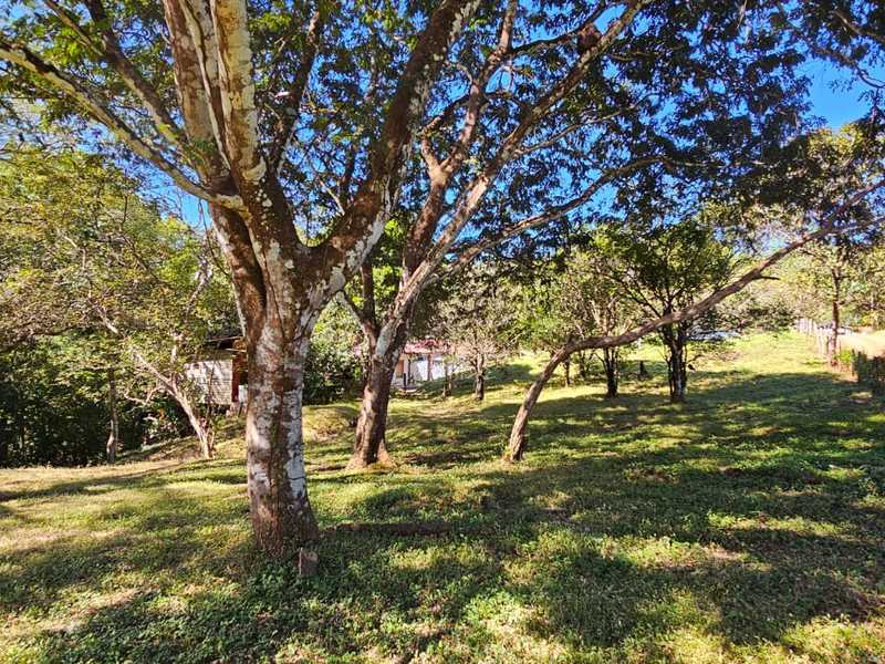 0 bed Land For Sale in Playa Carrillo, Guanacaste - 1