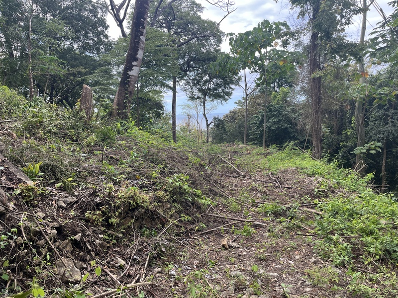 0 bed Land For Sale in Santa Teresa, Puntarenas - 1