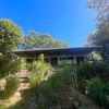  - FIRE SALE Jungle Paradise in Montezuma