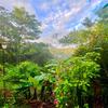  - FIRE SALE Jungle Paradise in Montezuma