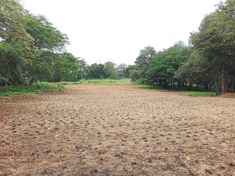 0 bed Land For Sale in Liberia, Guanacaste - 1