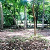  - ALMOST ½ ACRE TITLED BEACHFRONT LOT … LOW PRICE
