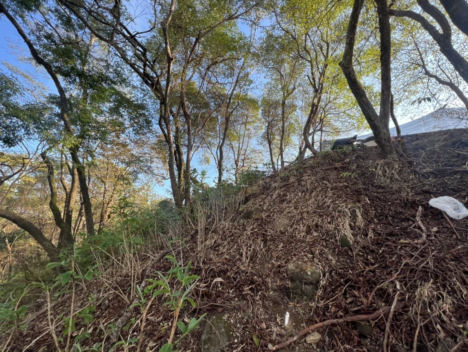 0 bed Land For Sale in Santa Teresa, Puntarenas - thumb 2