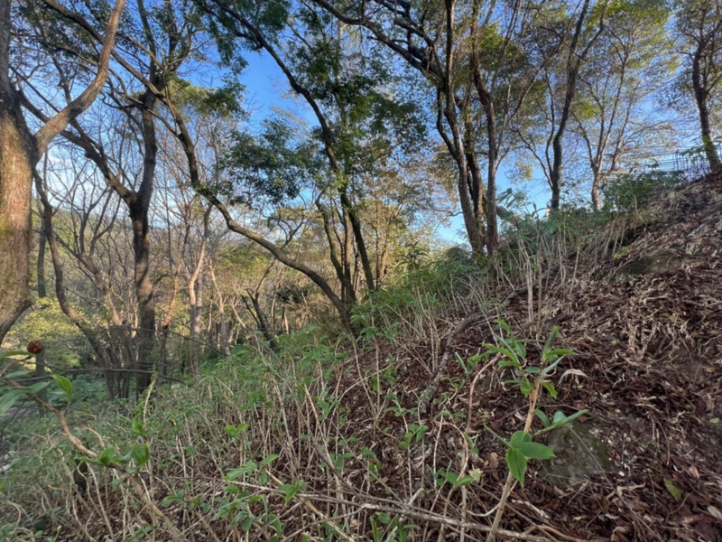 0 bed Land For Sale in Santa Teresa, Puntarenas - 1