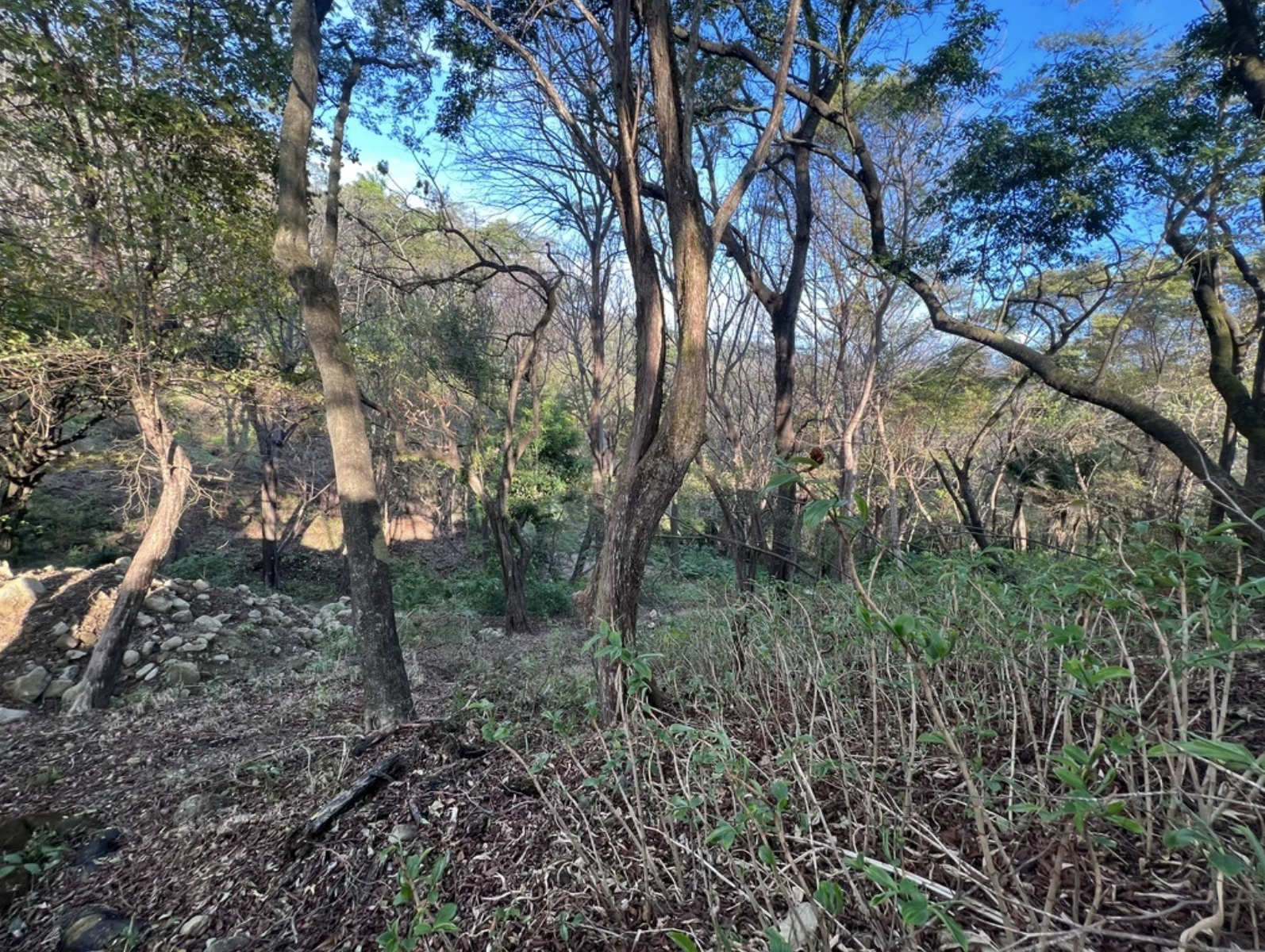 0 bed Land For Sale in Santa Teresa, Puntarenas - thumb 3