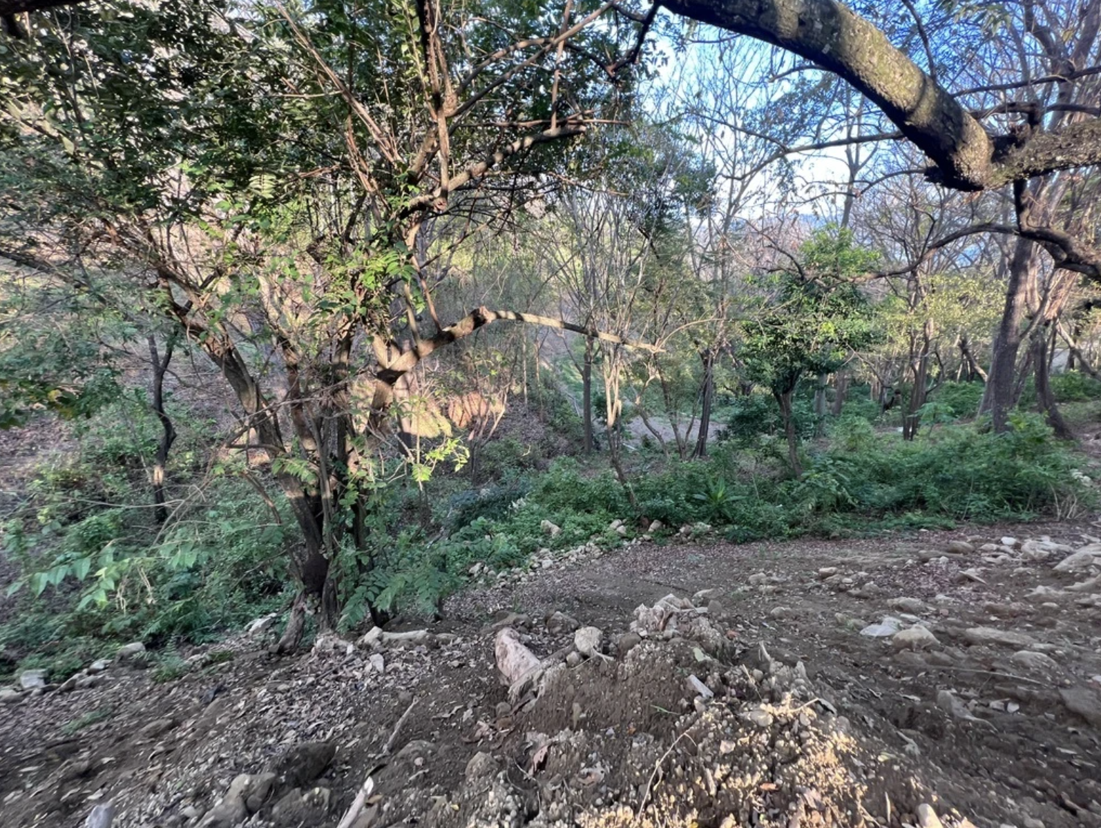 0 bed Land For Sale in Santa Teresa, Puntarenas - thumb 5