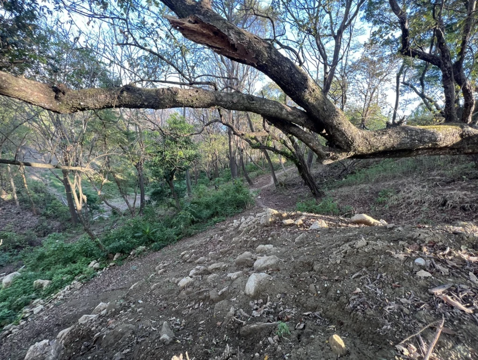 0 bed Land For Sale in Santa Teresa, Puntarenas - thumb 6