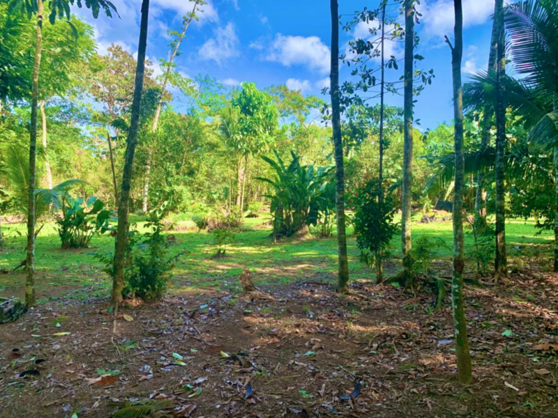 0 bed Land For Sale in San Carlos, Alajuela - 1