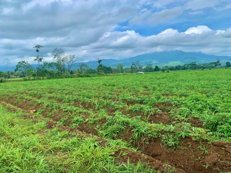 0 bed Land For Sale in La Fortuna, Alajuela - 1