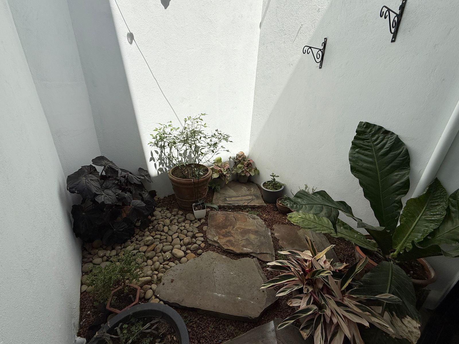 3 bed Condo For Sale in Pozos, San Jose - thumb 6