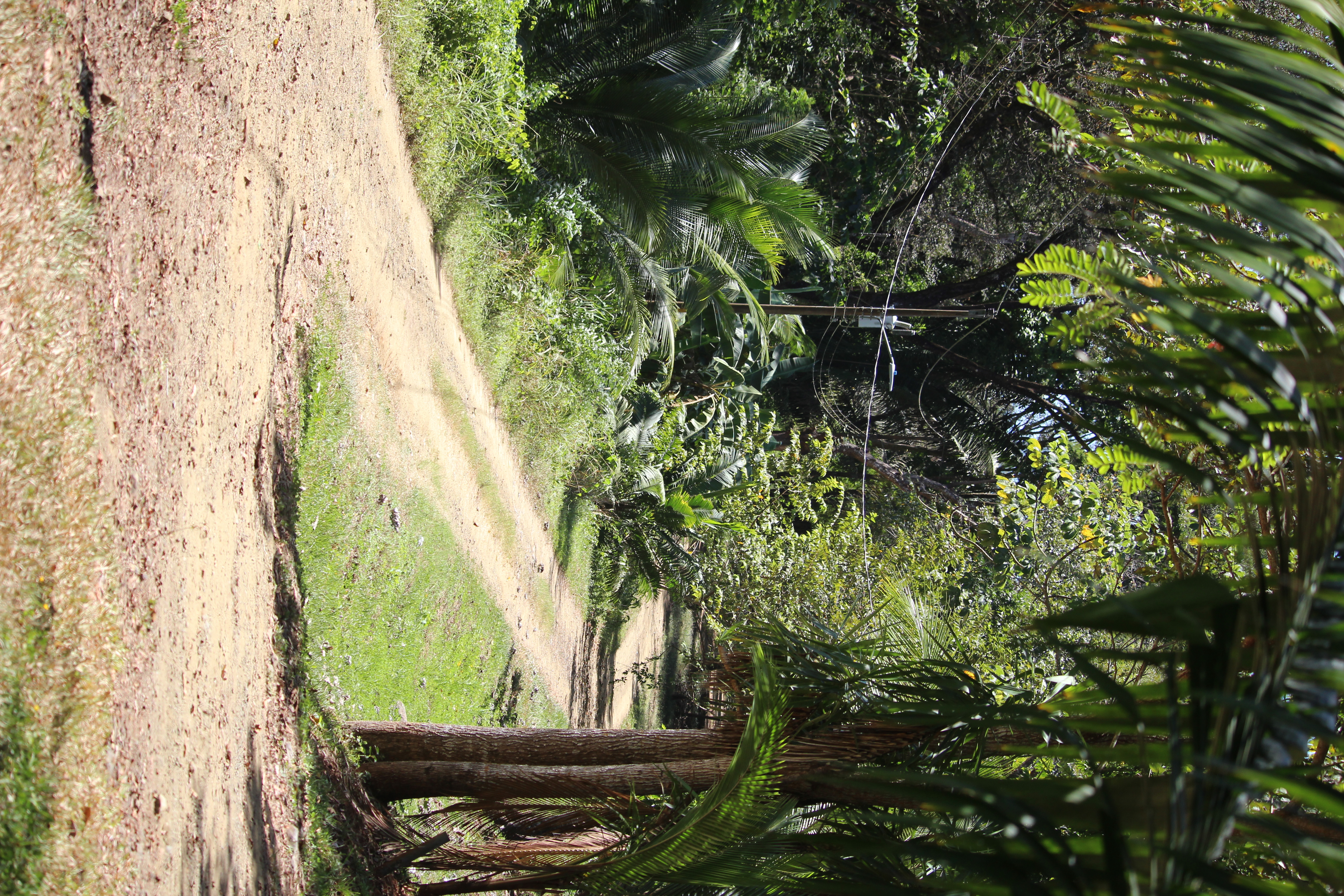 2 bed Single Family Homes For Sale in Playa Coyote, Guanacaste - thumb 14