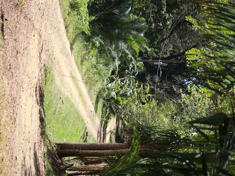 2 bed Single Family Homes For Sale in Playa Coyote, Guanacaste - photo 14