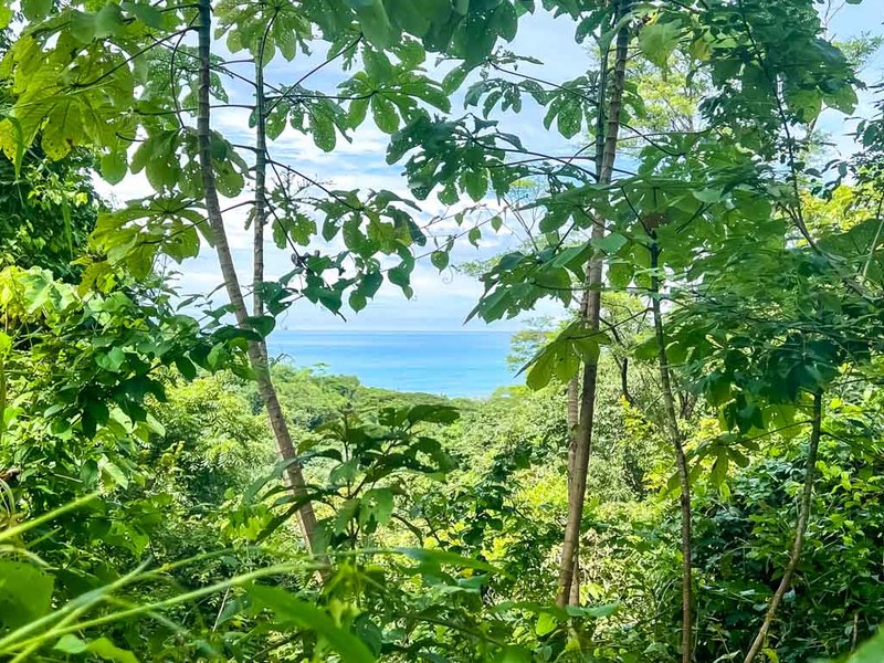 0 bed Land For Sale in Santiago, Puntarenas - 1