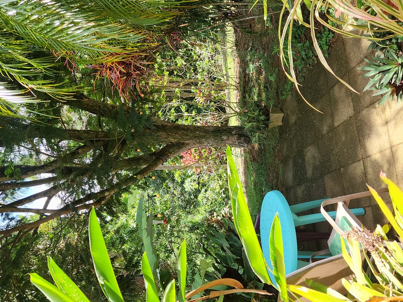 1 bed Single Family Homes For Rent in Atenas, Alajuela - hero 3