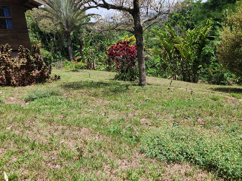 1 bed Single Family Homes For Rent in Atenas, Alajuela - hero 21